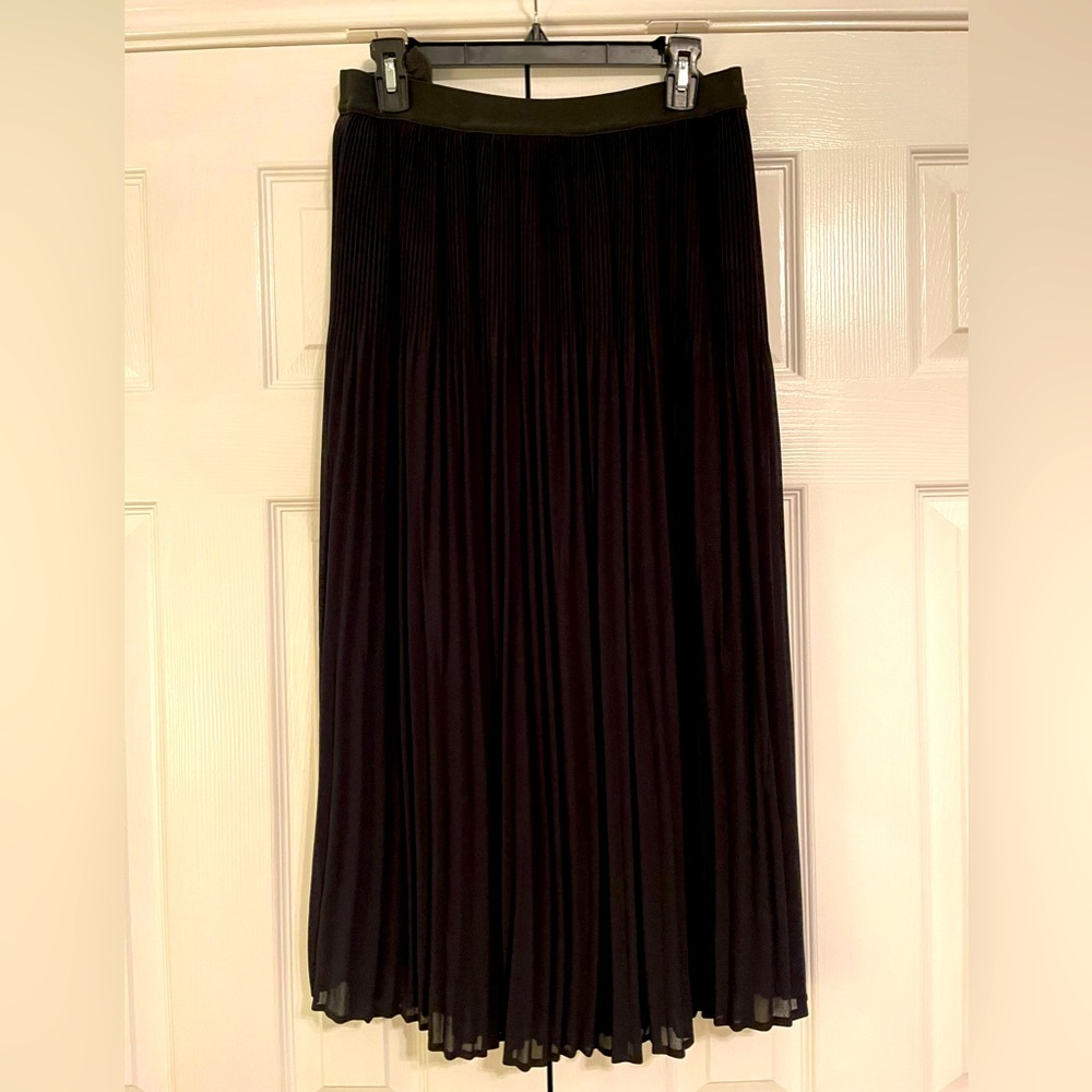 Black, sheer, fully lined pleated skirt, Size Large